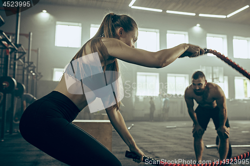 Image of Woman with battle ropes exercise in the fitness gym.