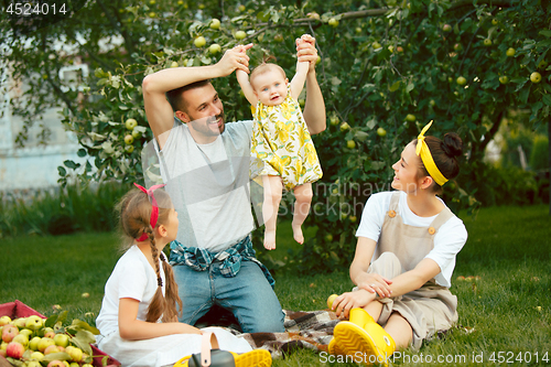 Image of The happy young family during picking apples in a garden outdoors