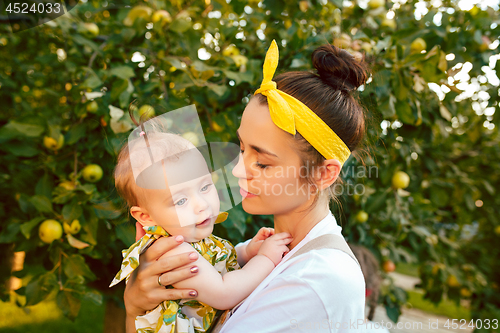 Image of The happy young family during picking apples in a garden outdoors