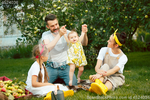 Image of The happy young family during picking apples in a garden outdoors