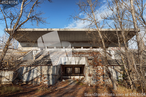 Image of Forest reclaiming the Zone, in Chernobyl