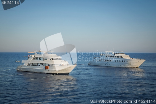 Image of Luxury yacht docking near coral reef