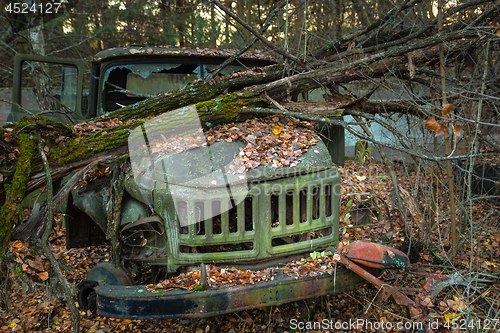 Image of Fallen tree on abandoned truck left outside