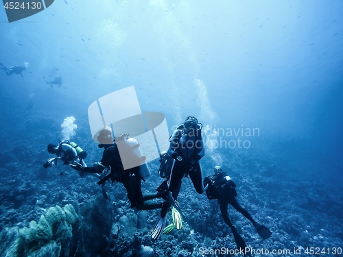 Image of Scuba divers descending to the bottom