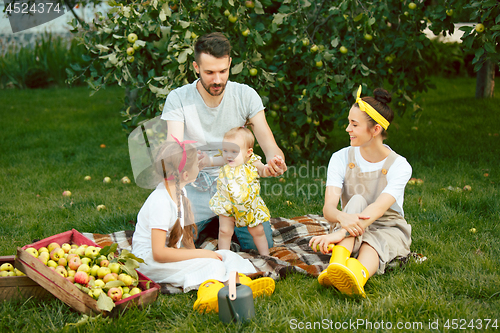 Image of The happy young family during picking apples in a garden outdoors