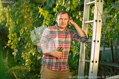 Image of Mant prune grape brunch, work on a family farm