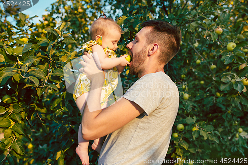 Image of The happy young family during picking apples in a garden outdoors