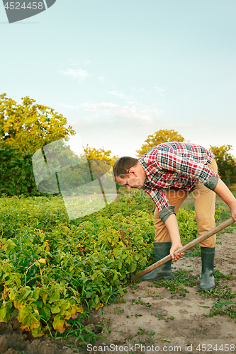 Image of farming, gardening, agriculture and people concept -