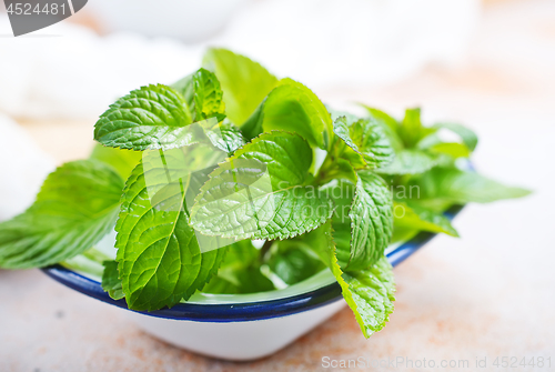 Image of fresh mint