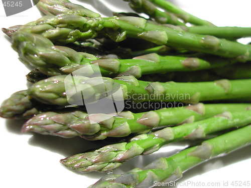 Image of Fresh asparagus spears on a white background
