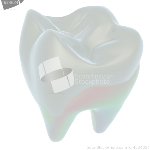 Image of Tooth. 3d illustration