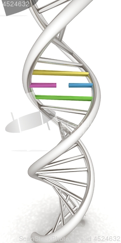 Image of DNA structure model on white. 3d illustration