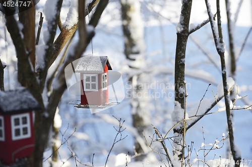 Image of bird feeder in the form of a house hanging on a branch in the wi