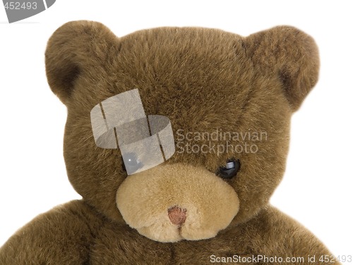 Image of Teddy bear