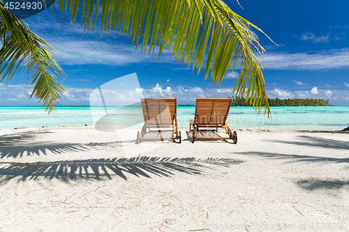 Image of tropical beach with palm tree and sunbeds