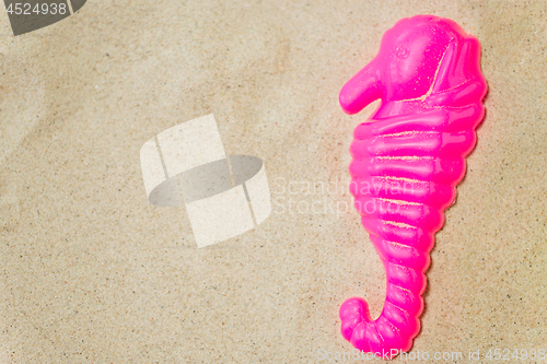 Image of close up of sea horse mold on summer beach sand