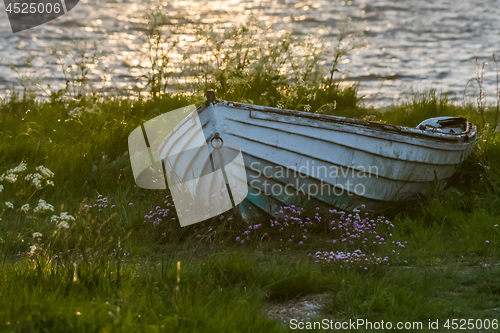 Image of Old weathered rowing boat in green grass