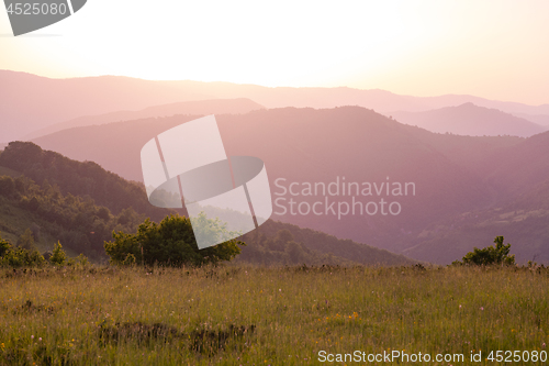 Image of landscape nature summer