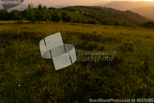 Image of landscape nature summer