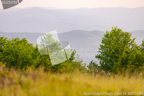 Image of landscape nature summer