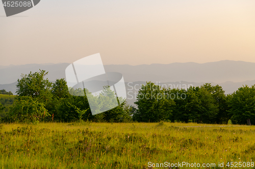 Image of landscape nature summer