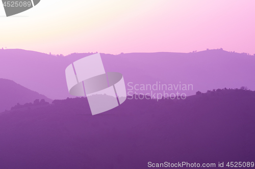 Image of ultra violet purple summer landscape