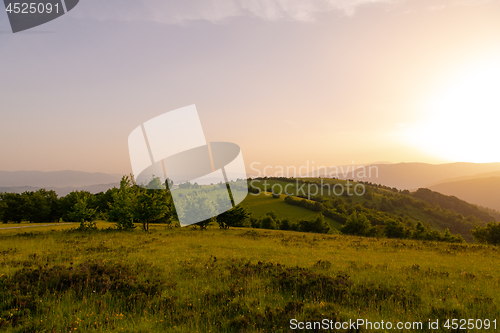 Image of landscape nature summer