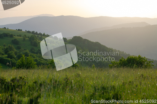 Image of landscape nature summer