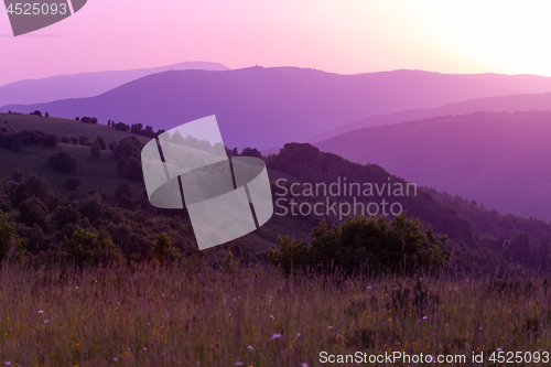 Image of ultra violet purple summer landscape