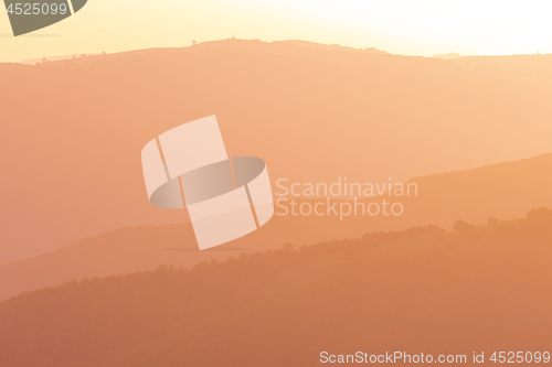 Image of golden sunset in summer