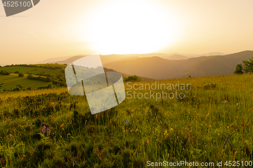 Image of landscape nature summer