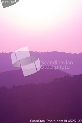 Image of ultra violet purple summer landscape