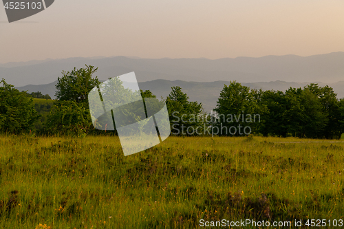 Image of landscape nature summer