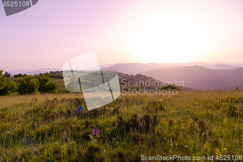 Image of landscape nature summer