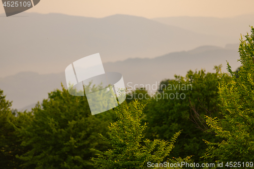 Image of landscape nature summer