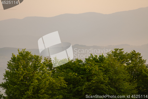 Image of landscape nature summer