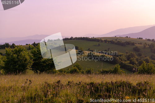 Image of landscape nature summer