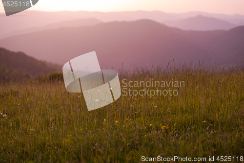 Image of landscape nature summer