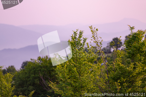 Image of landscape nature summer