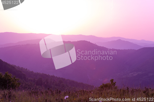 Image of ultra violet purple summer landscape