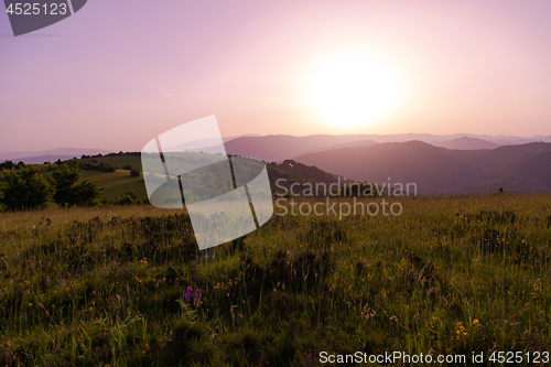 Image of landscape nature summer