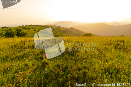 Image of landscape nature summer