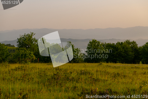 Image of landscape nature summer