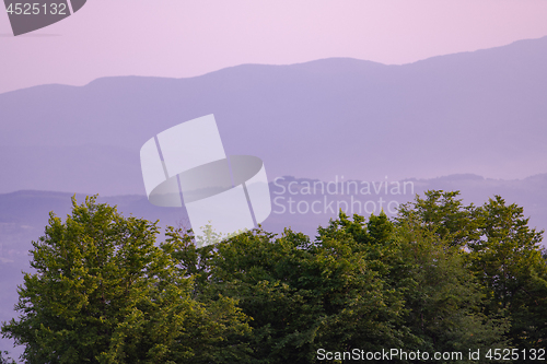 Image of landscape nature summer