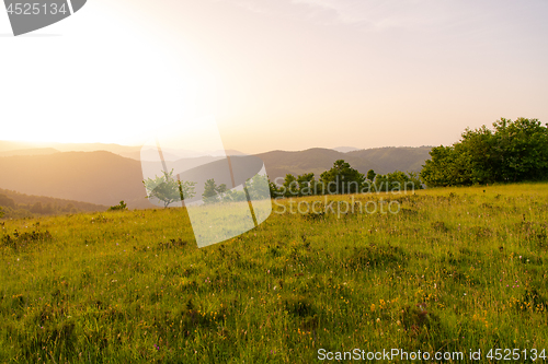 Image of landscape nature summer