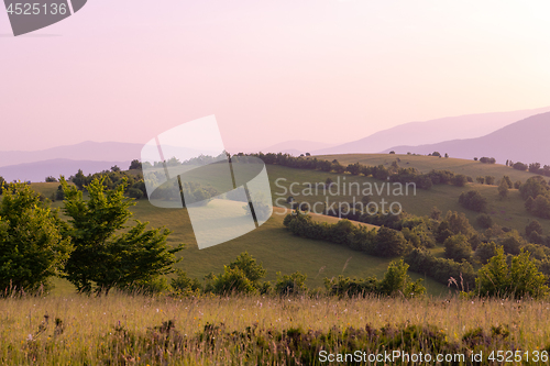 Image of landscape nature summer