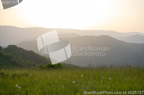 Image of landscape nature summer