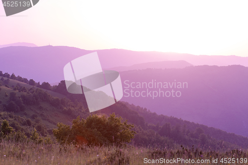 Image of ultra violet purple summer landscape