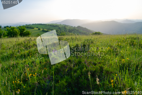 Image of landscape nature summer