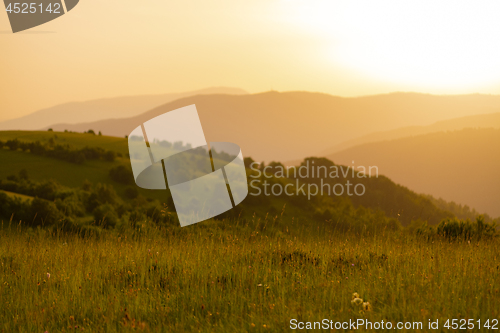 Image of landscape nature summer